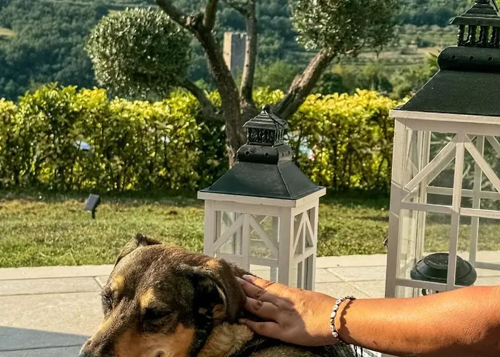 Beautiful Casa Garden Contesses In Momjan