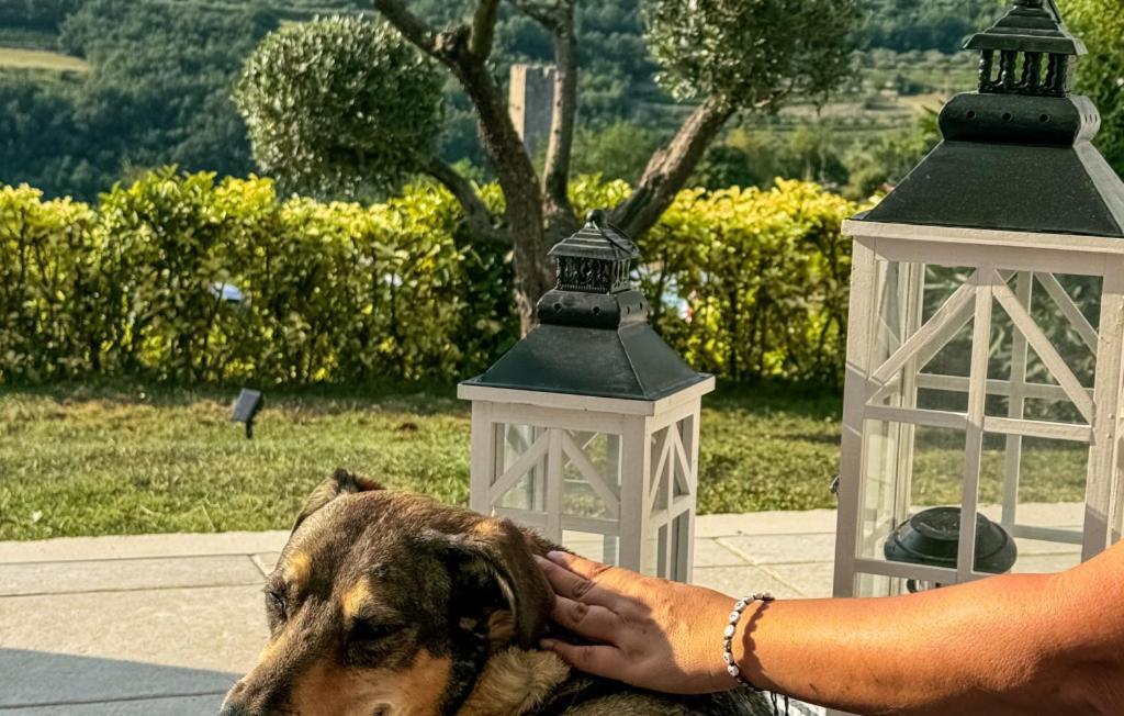 Beautiful Casa Garden Contesses In Momjan Buje