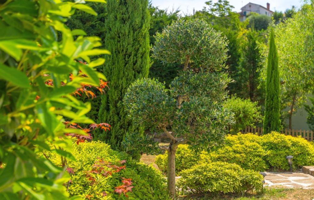 Villa Beautiful Casa Garden Contesses In Momjan Buje